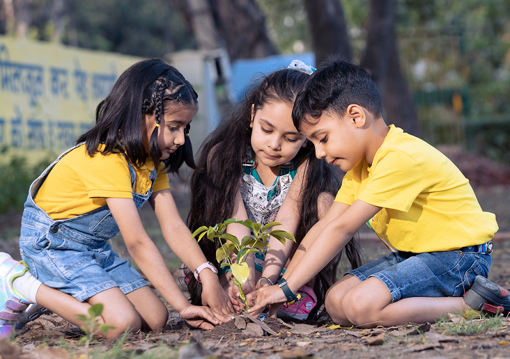 Students working together to plant a young tree
